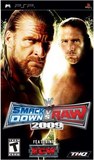 WWE SmackDown vs. RAW 2009 (PlayStation Portable)